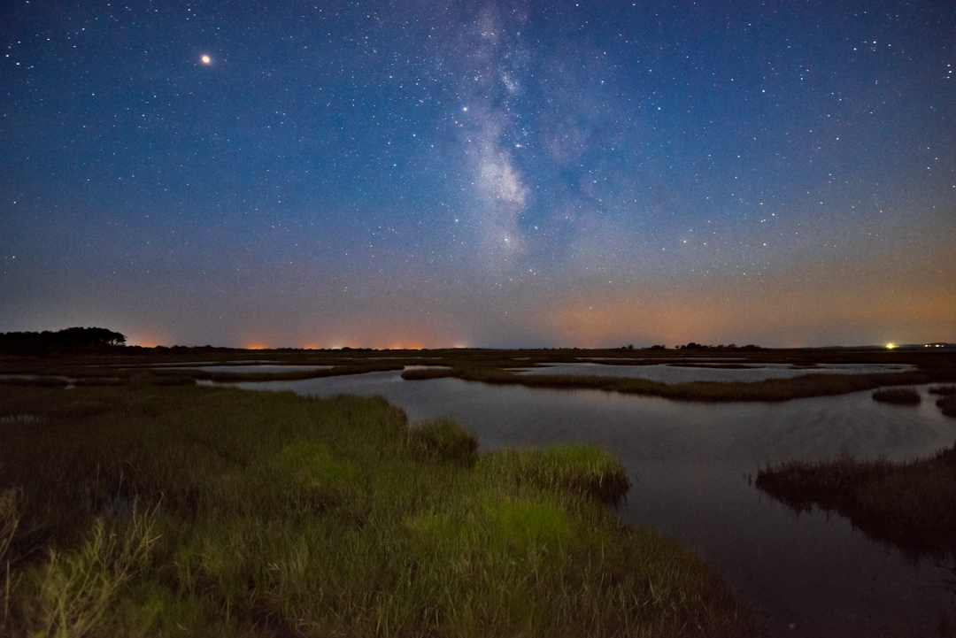 Marsh in foreground, milky way in background