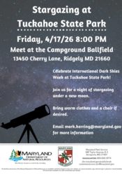 Stargazing Flyer
