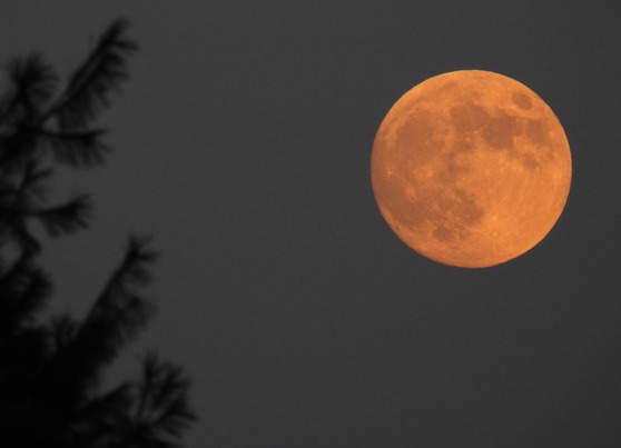 Full moon rising