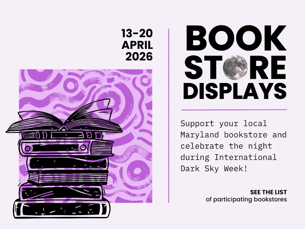 Book Store Displays