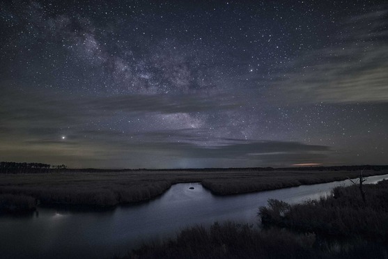 The Milky Way Galaxy with a marsh in the foreground