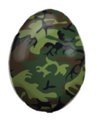 Image of Camouflage Egg