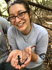 Picture of Staff Member Holding a Salamander