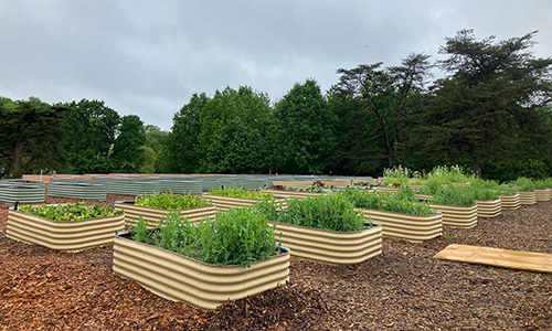 Trails, community gardens, public park improvements, other outdoor amenities are eligible for the Greenspace Equity Grant Program. Maryland DNR photo.