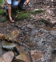 Picture of Person Looking in the Stream