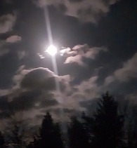 Picture of Full Moon by Rob Bogart
