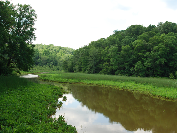 MET Conservation Easement in Anne Arundel County