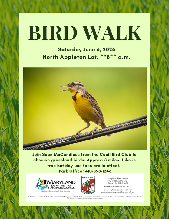 bird walk