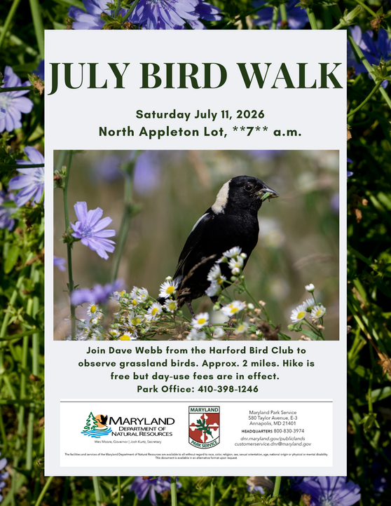 July bird walk