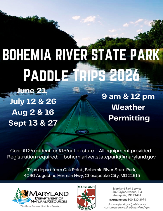 paddle