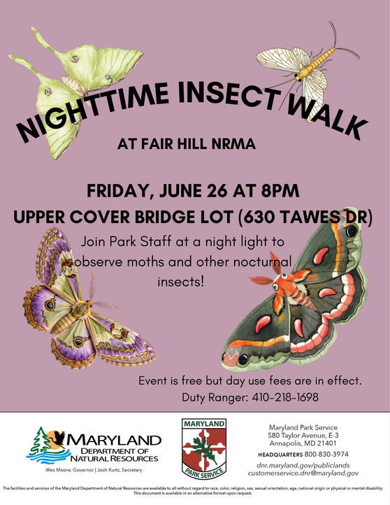 New Date Nighttime Insect Walk