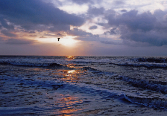 Ocean Sunrise by Dennis Garcia