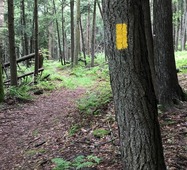 Picture of Trail Blaze