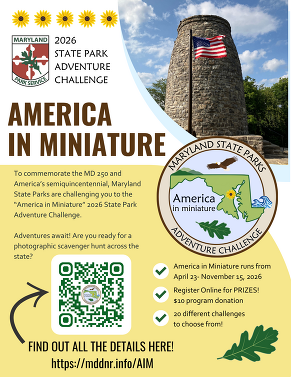 AIM flyer