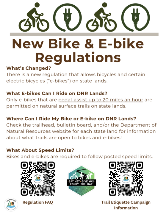 e bike