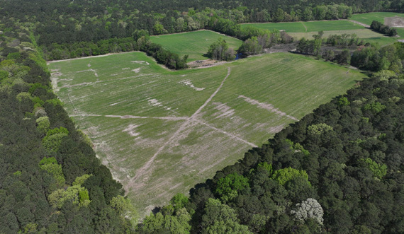 MET Conservation Easement in Talbot County