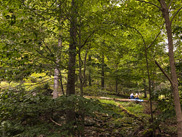 New Germany State Park. Maryland DNR photo