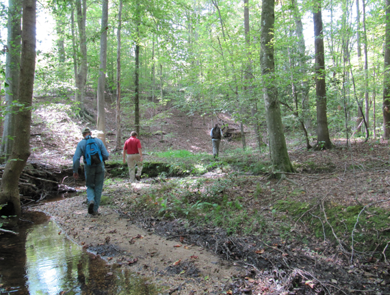 MET Easement Monitoring