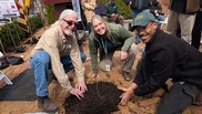 Three people with a small tree seedling that was just planted