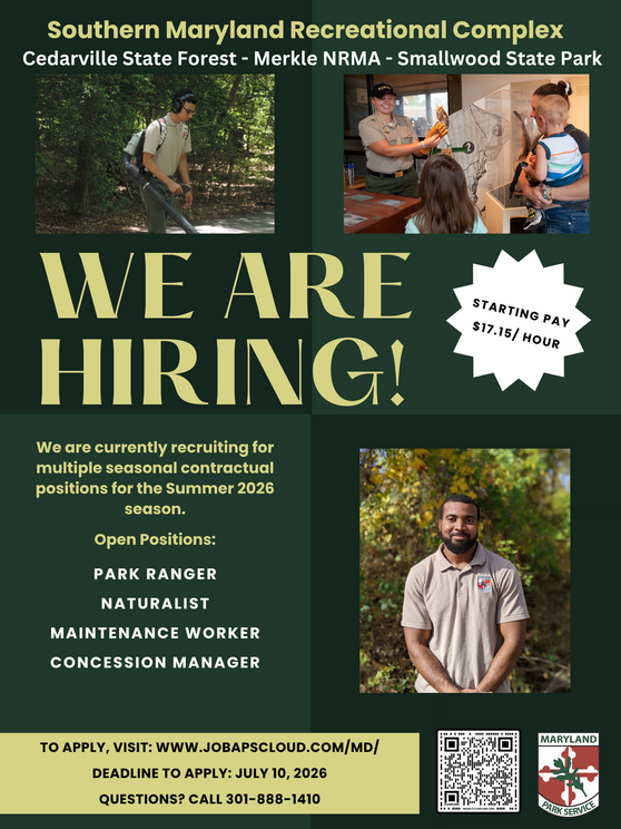 we are hiring