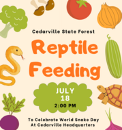 world snake day flyer