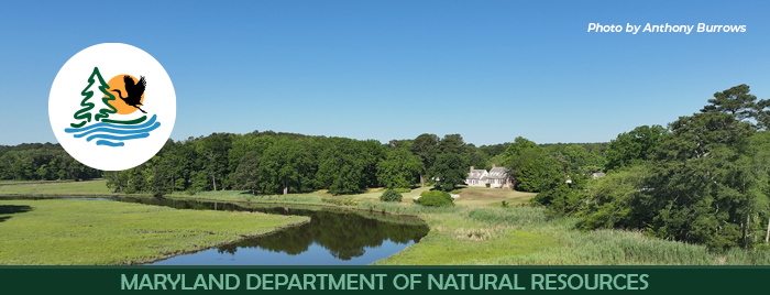 aerial view of historic house, creek, and landscape