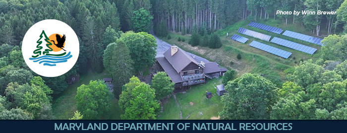 Lodge and solar panels surrounded by forest and mountains