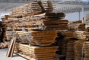 Tree cut into lumber inside a warehous