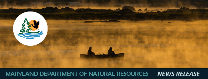 Two people fishing from a canoe on a misty morning