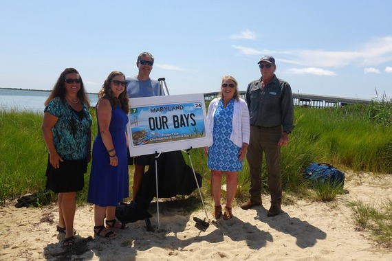 Bay Plate Unveiling