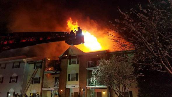 Raven Wood Ct - Courtesy of JMVFC