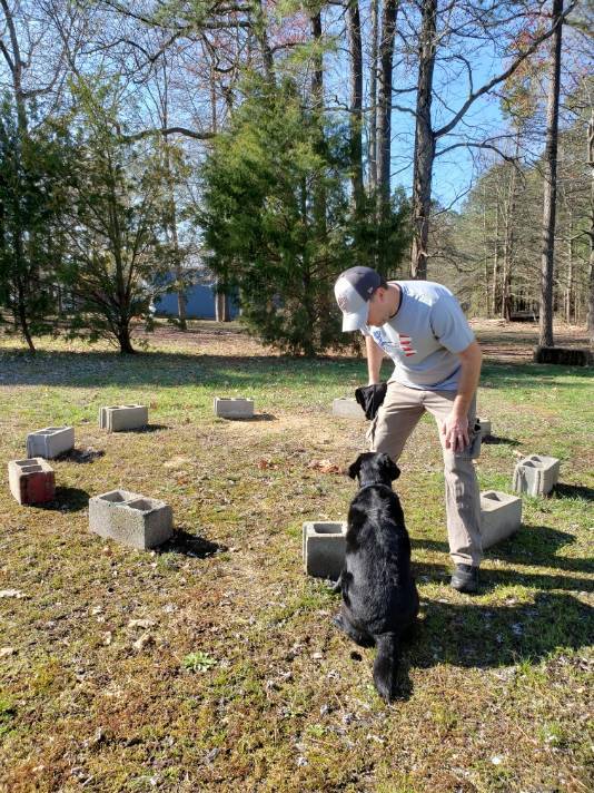 Nelson Zorro Training 
