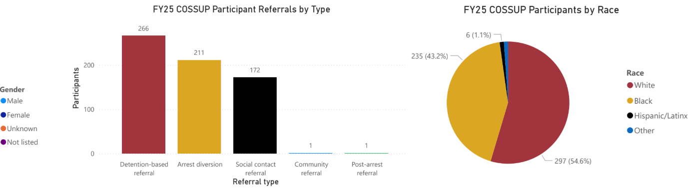 COSSUP Demographics Charts