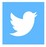 Twitter Icon