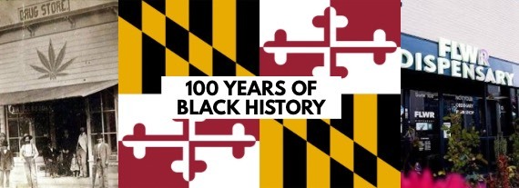 Bud Bullein 100 years of black history banner
