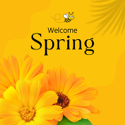 Welcome Spring!