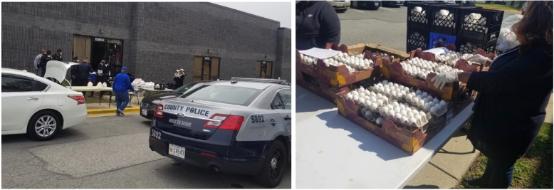 Fountain of Life Grace Springs Church