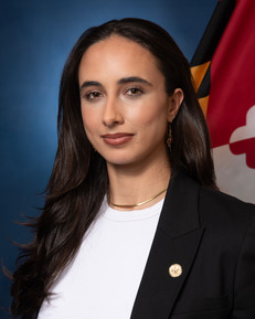 Erin Sibel Sezgin headshot