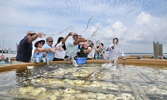 Governor Moore at Oyster Farm