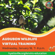 Audubon Training