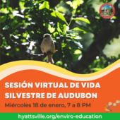 Audubon entrenamiento