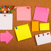 Notices and Deadlines