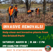 Invasive Plants Removal March 18