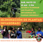 Eliminacion de plantas invasoras 