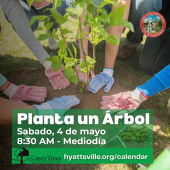 Planta un arbol