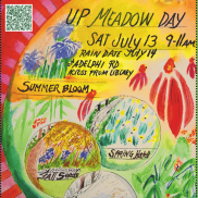 UP Meadow Day