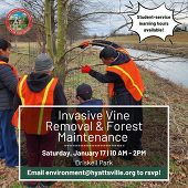 Invasive Removals January