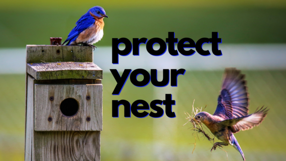 protect your nest
