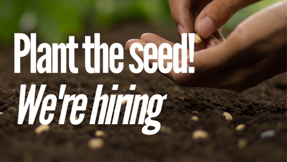 hiring planting a seed
