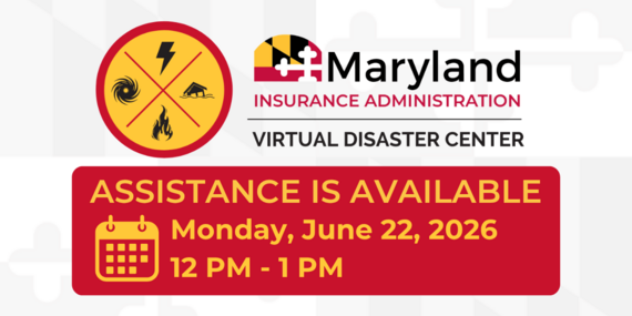 Virtual Disaster Center